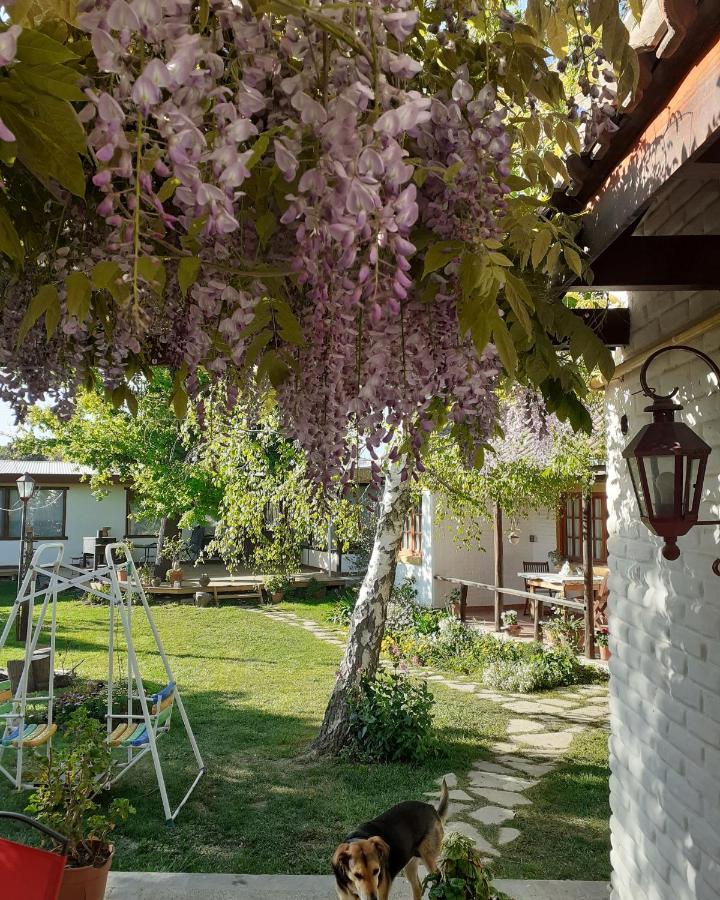 Shai Shai Hue Puerto Madryn Dış mekan fotoğraf